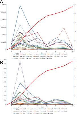 Comprehensive Functional Analysis of Escherichia coli Ribosomal RNA Methyltransferases